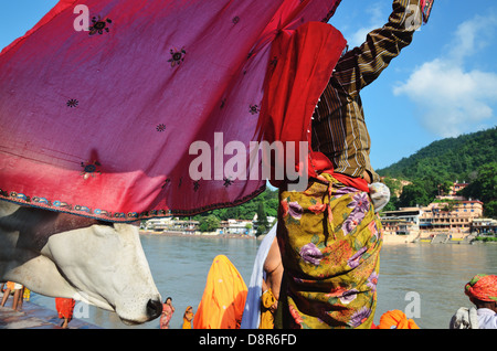 Femme hindoue sari sec après un bain rituel, Rishikesh, Inde Banque D'Images