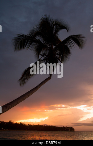 Coucher du soleil à Punta Poppy beach, République dominicaine. Banque D'Images