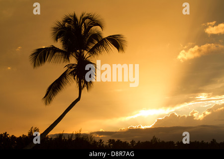 Coucher du soleil à Punta Poppy beach, République dominicaine. Banque D'Images