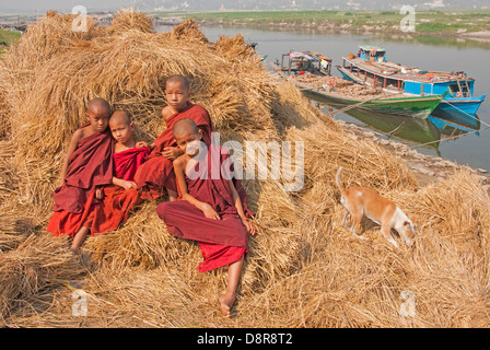 Les moines novices et chien jouant dans foin pile le long de la rivière Irrawaddy près de Mandalay. Banque D'Images