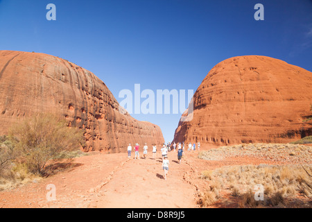 Kata Tjuta (Olgas) montage dans l'outback, le centre rouge, Territoire du Nord, Australie. Banque D'Images