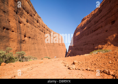 Kata Tjuta (Olgas) montage dans l'outback, le centre rouge, Territoire du Nord, Australie. Banque D'Images