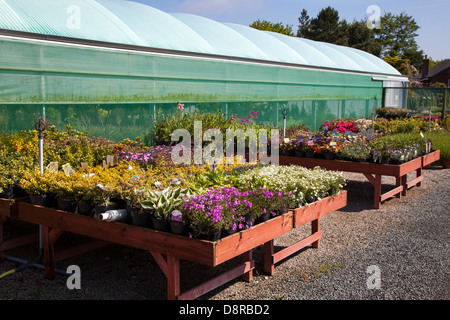 Serres et pépinières à vendre à J.A. Jones Garden Centre nursery à Southport, Merseyside, Royaume-Uni Banque D'Images