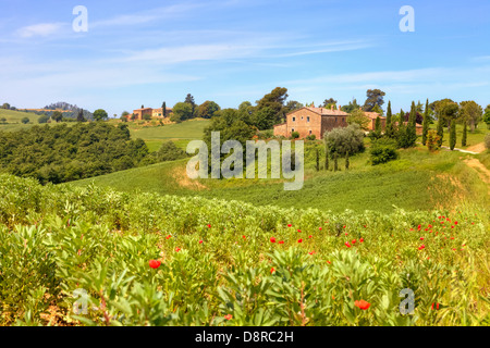 Maison de ferme en Val d'Orcia, Montepulciano, Toscane, Italie Banque D'Images