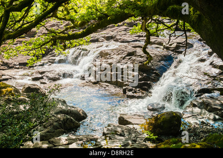 Galleny Stonethwaite chute près de la Force dans le Lake District. Banque D'Images