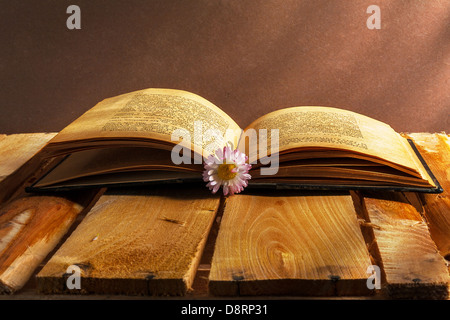 Vieux livre ouvert avec la marguerite sur fond de bois Banque D'Images