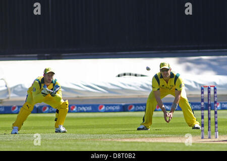 CARDIFF, WALES - 04 juin : l'Australie Matthew Wade (wk) et Shane Watson au cours de l'ICC Champions trophy tournoi international d'échauffement d'avant match de cricket entre l'Inde et l'Australie à la Cardiff Pays de Galles Stade le 04 juin 2013 à Cardiff, Pays de Galles. (Photo de Mitchell Gunn/ESPA) Banque D'Images