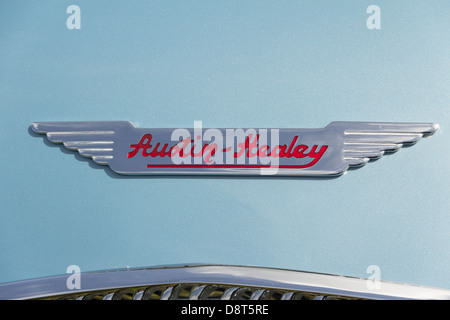 Austin-Healey un insigne sur le capot d'une voiture de sport classique bleu clair. Banque D'Images