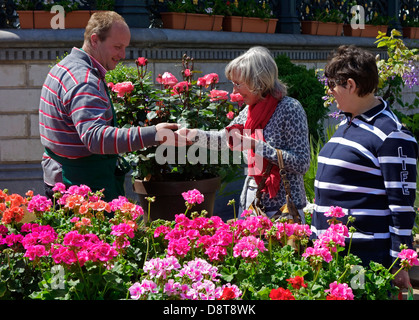 Femme de payer exposant au stand de fleurs colorées pour des fleurs au marché aux fleurs Banque D'Images