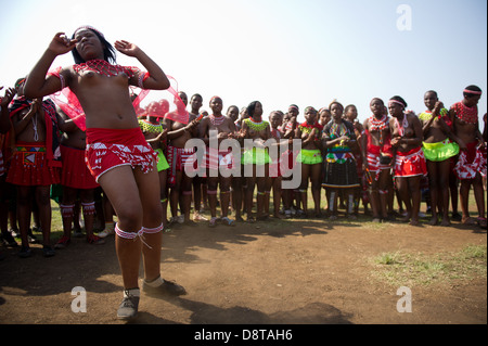 La danse zoulou Reed à eNyokeni Palace, Nongoma, Afrique du Sud Banque D'Images