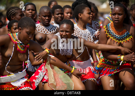 La danse zoulou Reed à eNyokeni Palace, Nongoma, Afrique du Sud Banque D'Images