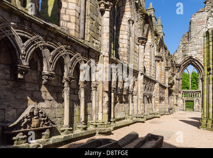 L'Abbaye de Holyrood Palace, Édimbourg, et résidence royale - à l'intérieur de la nef en ruine. Mur nord, Norman à arcades romanes détail. Banque D'Images