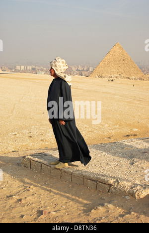 Chamelier debout en fin d'après-midi en face de la grande pyramide de Gizeh, Egypte Banque D'Images