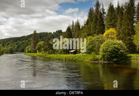 WESTER ELCHIES ET UNE CABANE DE PÊCHE AU SAUMON SUR LE PREMIER BATTEMENT DE LA RIVIÈRE SPEY, PRÈS DE L'ECOSSE ABERLOUR Banque D'Images