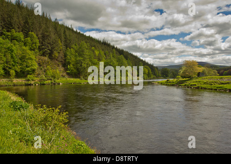 Dans la ligne de piscines à WESTER ELCHIES BEAT SUR UN SAUMON LA RIVIÈRE SPEY, PRÈS DE L'ECOSSE ABERLOUR Banque D'Images