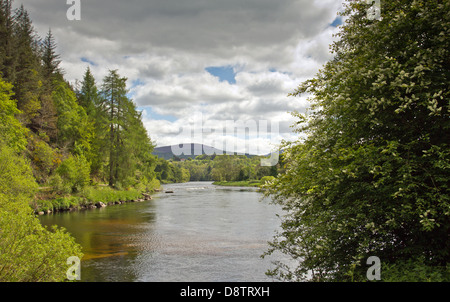 Les PISCINES DE WESTER ELCHIES BEAT SUR UN SAUMON LA RIVIÈRE SPEY, PRÈS DE L'ECOSSE ABERLOUR Banque D'Images