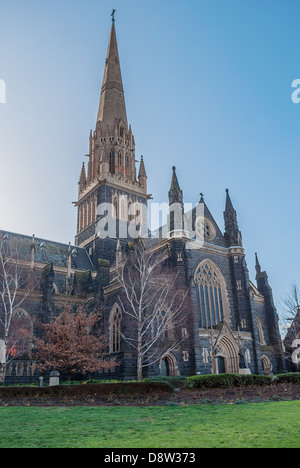 La cathédrale Catholique St Patrick au centre-ville de Melbourne en Australie. Banque D'Images