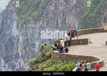 Un Condor des Andes du sud du Pérou monte sur le Canyon de Colca, l'adoption de la plate-forme de visiteurs, Pérou Banque D'Images