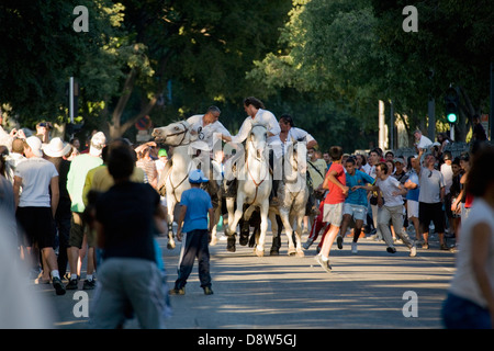 Un groupe de trois cavaliers sur chevaux blancs escortant un bull en rue après la corrida, Arles, Provence, France Banque D'Images