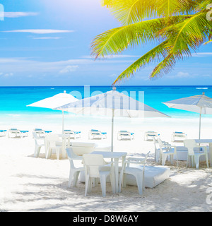 Café confortable sur la côte de sable, paysage magnifique sur la mer blanche et propre, chaises et tables et parasols, frais de green palm tree Banque D'Images