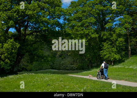 L'homme en fauteuil roulant poussé le long du chemin près de Great Langdale, Parc National de Lake District, Cumbria, Angleterre, Royaume-Uni Banque D'Images