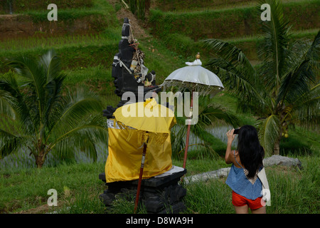 L'INDONÉSIE, Bali, woman photographing un autel dans un champ de riz autour de Jatiluwith Banque D'Images