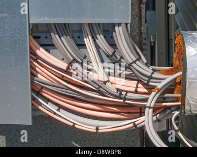 Un faisceau de câbles électriques Banque D'Images