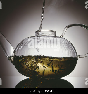 La préparation du thé dans une théière en verre Banque D'Images