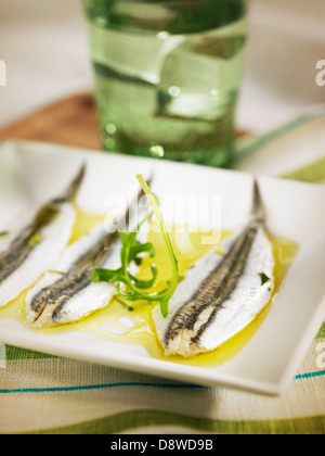 Anchois marinés dans l'huile d'olive,vinaigar,l'ail et persil Banque D'Images