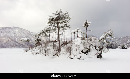 Îlots couverts de neige au lac Towada. Quelle est l'eau est normalement totalement gelé et recouvert de neige Banque D'Images