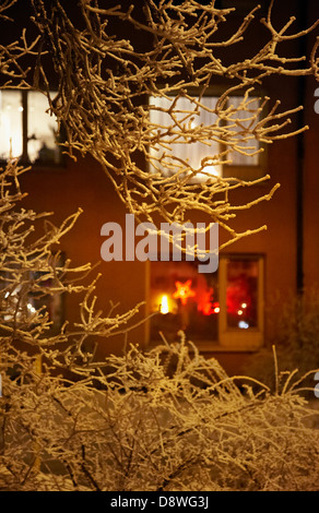 Décoration de Noël à la fenêtre, sur le premier plan des brindilles givré Banque D'Images