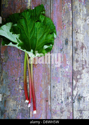 Les feuilles de rhubarbe sur la surface en bois, directement au-dessus Banque D'Images