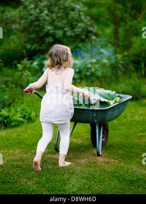 Fille avec cerceuils en poussant avec les feuilles de rhubarbe Banque D'Images