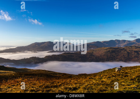 Spectaculaire paysage britannique sur l'inversion cloud Fairfield dans le horseshoe Lake District à la recherche sur les montagnes du sud et de la vallée brumeuse ci-dessous Banque D'Images