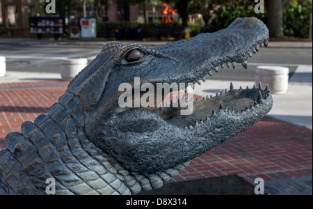 Tête d'un alligator en bronze statue, mascotte de l'Université de Floride, se trouve en face de l'Ben Hill Griffin stadium. Banque D'Images