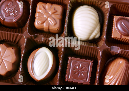 Gros plan sur une boîte d'assortiment de délicieux chocolats brun et blanc Banque D'Images