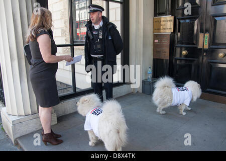 Londres, Royaume-Uni. Une femme de Non à la viande de chien parle à un agent de police à l'ambassade de Chine à propos de remettre une lettre au personnel de l'ambassade, appelant à mettre fin à la pratique à l'extrême est de l'utilisation de la viande de chien et de chat pour la nourriture. Crédit : Paul Davey/Alamy Live News Banque D'Images