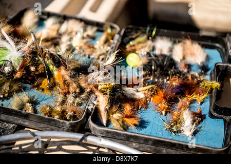 Fort de mouches de pêche à la mouche Banque D'Images