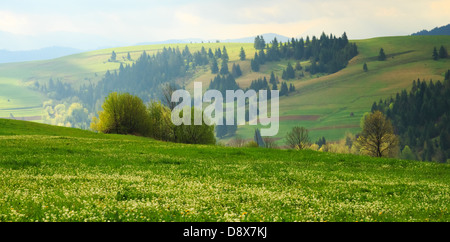 Tôt le matin de printemps paysage avec diagonale multicolore dans les Carpates Banque D'Images