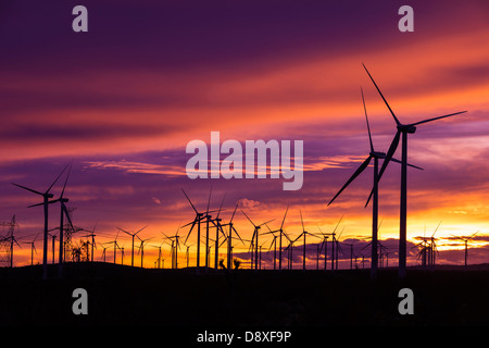 Silhouette d'éoliennes au coucher du soleil, Mojave, Californie USA Banque D'Images