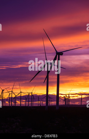 Silhouette d'éoliennes au coucher du soleil, Mojave, Californie USA Banque D'Images