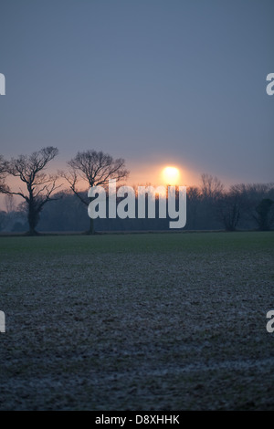 Coucher du soleil d'hiver de l'ensemble des terres arables. Hickling. Le Norfolk. L'East Anglia. UK. Banque D'Images