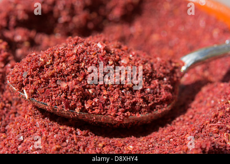 Rez-de sumac, une épice aigre-douce couramment utilisé dans la cuisine turque et du Moyen-Orient. Banque D'Images