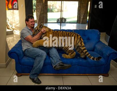 BRAKPAN, AFRIQUE DU SUD : Michael Jamison avec Ozzy le 31 mai 2013, à Brakpan, Afrique du Sud. Jamison adopté Ozzy, en plus de ses 15 chiens et 2 ans tigre du Bengale. Ozzy a déformé les jambes et les pieds en raison de malnutrition à partir de ses propriétaires précédents. Jamison va envoyer Ozzy pour chirurgie corrective lorsque ses jambes sont plus solides. (Photo par Gallo Images / Foto24 / Christian Kotze) Banque D'Images