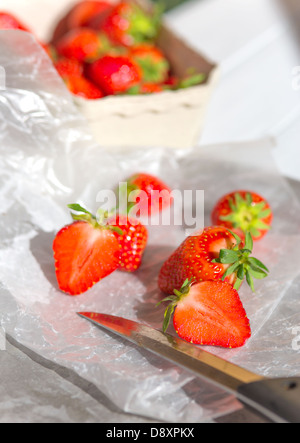 Fraises fraîches sur le papier ciré. L'un d'entre eux coupé en deux moitiés avec un couteau Banque D'Images