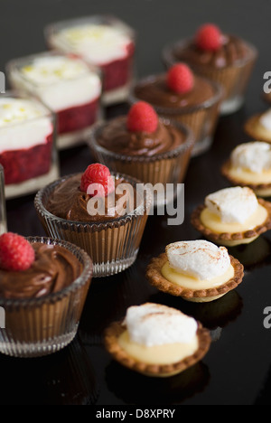 Assortiment de mini desserts Banque D'Images