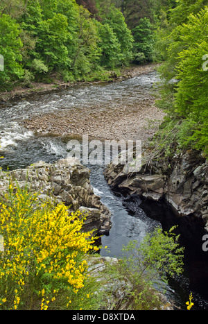 RIVER ET FINDHORN LEAP RANDOLPHS PRÈS DE FORRES MORAY ECOSSE Banque D'Images