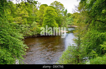 RIVER À FINDHORN LOGIE STEADING AU PRINTEMPS PRÈS DE FORRES MORAY ECOSSE Banque D'Images