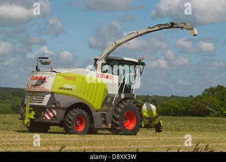 La récolte d'herbe pour l'ensilage pour l'alimentation des bovins Banque D'Images