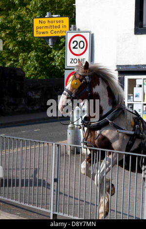 Appleby, Cumbria, Royaume-Uni. 6 juin, 2013. Pas de chevaux admis en centre-ville et de 20 mi/h sign où house frénétique qui luttent contre l'austérité, à l'arrêt Appleby Horse Fair de Cumbria. La foire est un rassemblement annuel de Tsiganes et Voyageurs qui a lieu sur la première semaine de juin, et n'a eu lieu depuis le règne de Jacques II, qui ont accordé une charte royale en 1685 permettant à un cheval juste 'près de la rivière Eden'. Banque D'Images